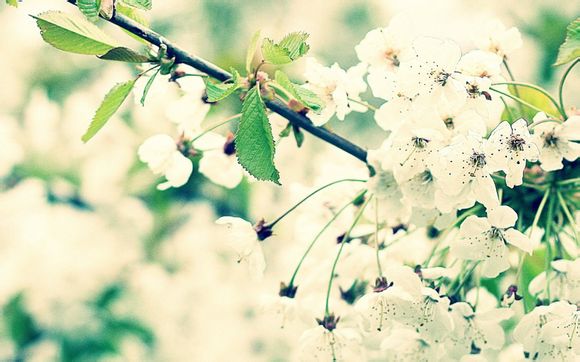 快手为什么登不上去了