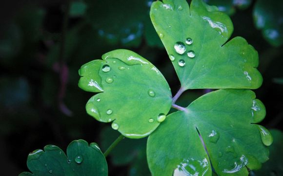 守卫雅典娜什么英雄好