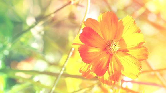 电力猫如何配对