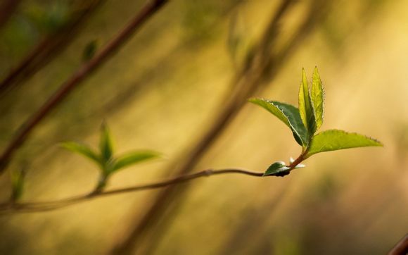 如何评价 重力眩晕