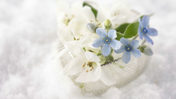 鱼丸有什么好处