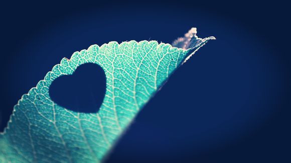 小冰冰传奇都有哪些平台