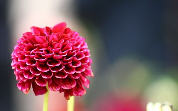 王者如何获取更多钻石