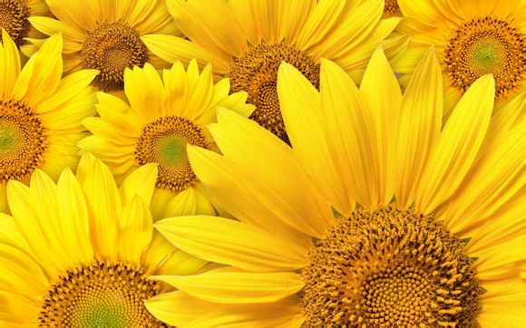 全能压缩如何使用