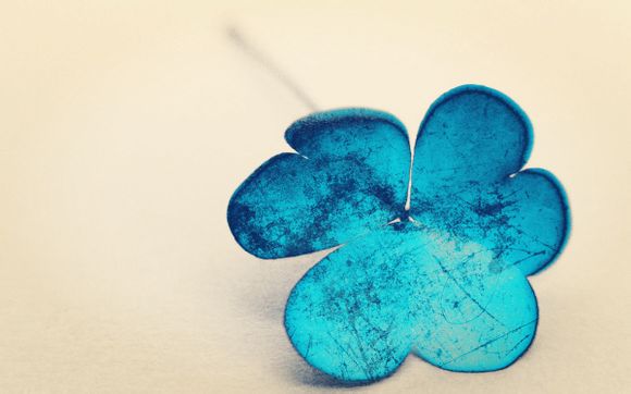 oppobreeno自动指令在哪里