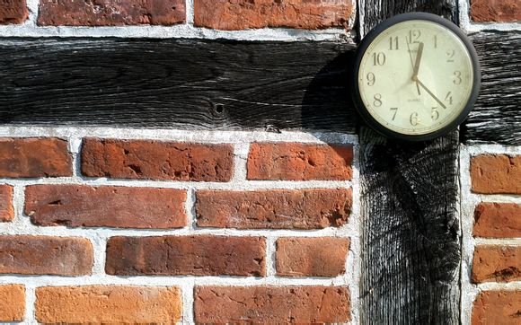 不休的乌拉拉哪些宠物