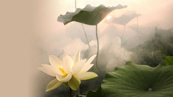 苹果有哪些初始软件