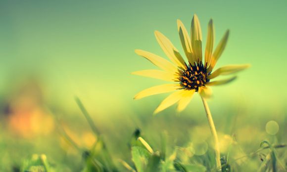 今年犯太岁怎么办