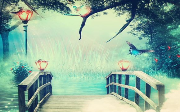 微信举报多久后