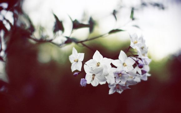 英雄联盟怎么观战别人