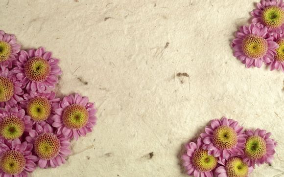 拳头加速器有哪些