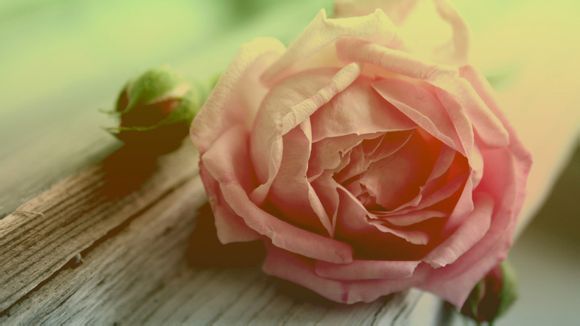 五行科技待遇如何