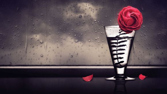 用什么魔法作物