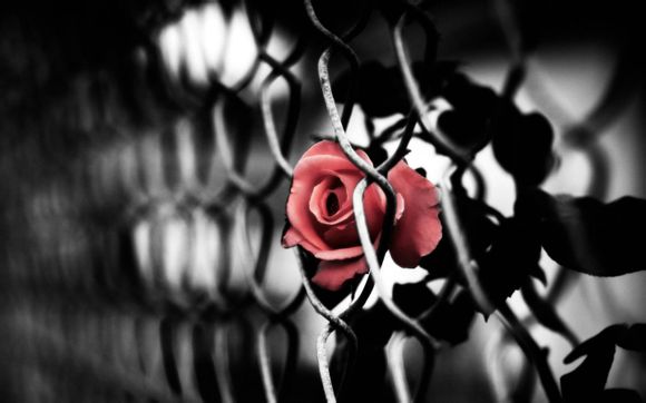 微商管家怎么用