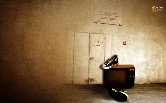 骚白斗鱼名字是多少