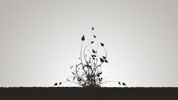 寒鸦极限多少灵