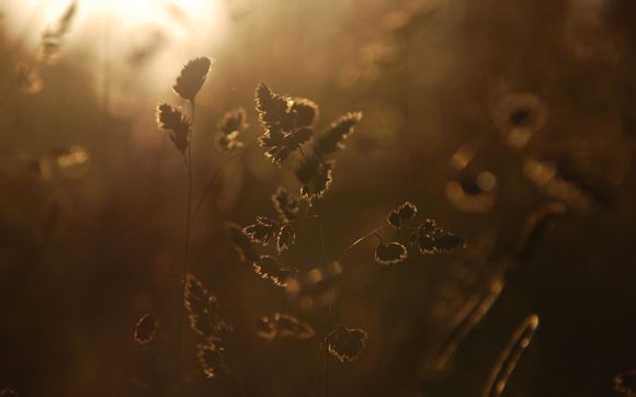 拼多多商家如何注册