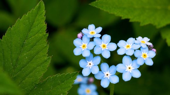 彼岸的孤岛结局是什么