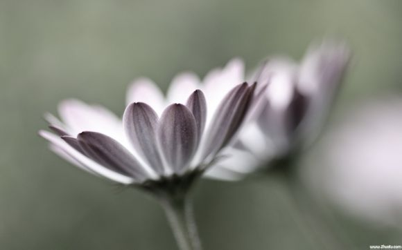 微信收藏怎么删掉