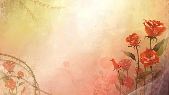 金刚钻头什么意思