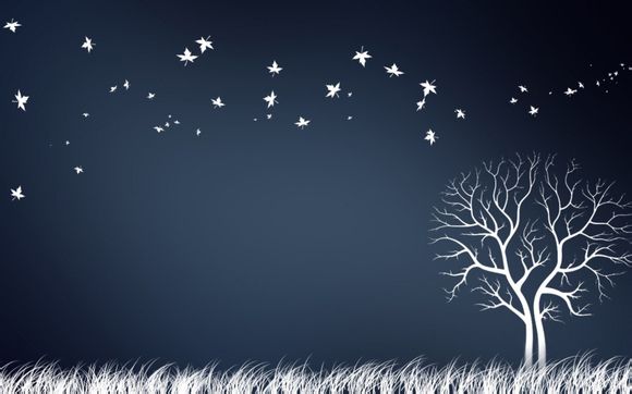 年度大会员现在多少