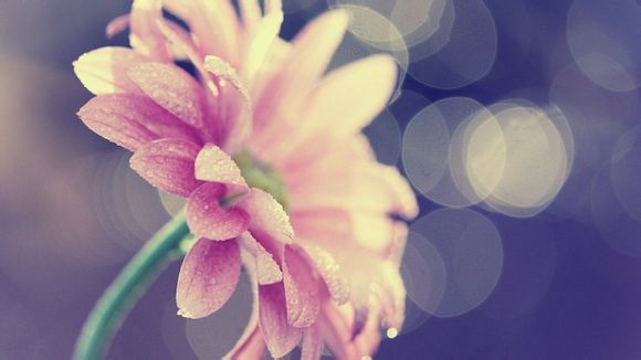 座机分机号怎么打