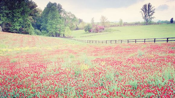 用钱宝如何取消借款