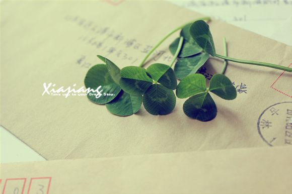 道聚城东西多久快递